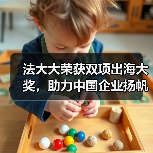 法大大荣获双项出海大奖，助力中国企业扬帆“新蓝海”！