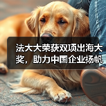 法大大荣获双项出海大奖,助力中国企业扬帆“新蓝海”!(图4) 法大大荣获双项出海大奖,助力中国企业扬帆“新蓝海”!(图4)