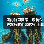 国内航司首家!东航今天起复航中印航线 上海浦东—德里每周执行3班(图2) 国内航司首家!东航今天起复航中印航线 上海浦东—德里每周执行3班(图2)
