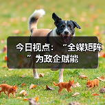 今日视点:“全媒矩阵”为政企赋能(图3) 今日视点:“全媒矩阵”为政企赋能(图3)