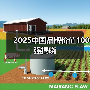 2025中国品牌价值100强揭晓(图2) 2025中国品牌价值100强揭晓(图2)