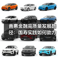 普惠金融高质量发展路径:国寿实践如何助力共同富裕?(图1) 普惠金融高质量发展路径:国寿实践如何助力共同富裕?(图1)