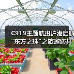 C919主题航班沪港启航 