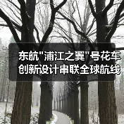 东航 东航
