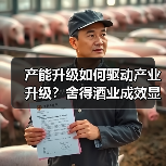 产能升级如何驱动产业升级?舍得酒业成效显著(图3) 产能升级如何驱动产业升级?舍得酒业成效显著(图3)