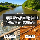 母婴营养品突围新策略 母婴营养品突围新策略