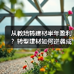 从教培转建材半年盈利？转型建材如何逆袭成功？