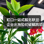 虹口一站式服务联盟：企业出海如何破解跨境难题？