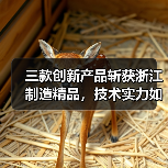 三款创新产品斩获浙江制造精品,技术实力如何突围?(图2) 三款创新产品斩获浙江制造精品,技术实力如何突围?(图2)