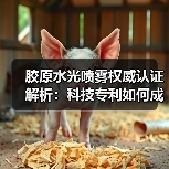 胶原水光喷雾权威认证解析：科技专利如何成就市场领先？