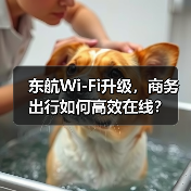 东航Wi-Fi升级,商务出行如何高效在线?(图3) 东航Wi-Fi升级,商务出行如何高效在线?(图3)