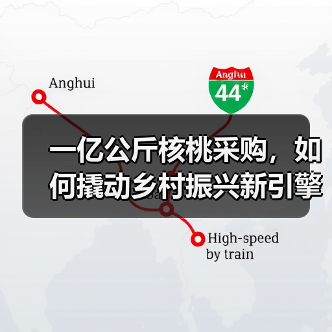 一亿公斤核桃采购,如何撬动乡村振兴新引擎?(图4) 一亿公斤核桃采购,如何撬动乡村振兴新引擎?(图4)