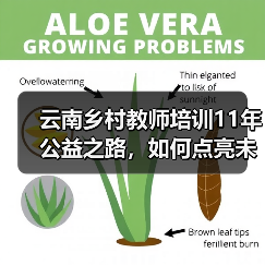 云南乡村教师培训11年公益之路,如何点亮未来教育?(图2) 云南乡村教师培训11年公益之路,如何点亮未来教育?(图2)