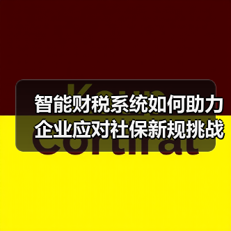 智能财税系统如何助力企业应对社保新规挑战?(图3) 智能财税系统如何助力企业应对社保新规挑战?(图3)