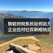 智能财税系统如何助力企业应对社保新规挑战?(图4) 智能财税系统如何助力企业应对社保新规挑战?(图4)
