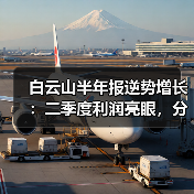 白云山半年报逆势增长:二季度利润亮眼,分红策略如何?(图2) 白云山半年报逆势增长:二季度利润亮眼,分红策略如何?(图2)