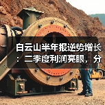 白云山半年报逆势增长:二季度利润亮眼,分红策略如何?(图4) 白云山半年报逆势增长:二季度利润亮眼,分红策略如何?(图4)