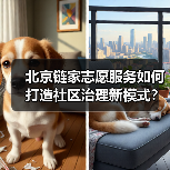 北京链家志愿服务如何打造社区治理新模式?(图2) 北京链家志愿服务如何打造社区治理新模式?(图2)