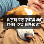 北京链家志愿服务如何打造社区治理新模式?(图3) 北京链家志愿服务如何打造社区治理新模式?(图3)