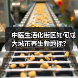 中医生活化街区如何成为城市养生新地标?(图3) 中医生活化街区如何成为城市养生新地标?(图3)