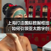 上海打造国际数据枢纽,如何引领亚太数字创新浪潮?(图1) 上海打造国际数据枢纽,如何引领亚太数字创新浪潮?(图1)