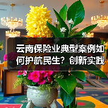 云南保险业典型案例如何护航民生?创新实践彰显服务温度(图1) 云南保险业典型案例如何护航民生?创新实践彰显服务温度(图1)