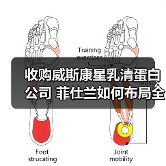 收购威斯康星乳清蛋白公司 菲仕兰如何布局全球蛋白市场（图1）