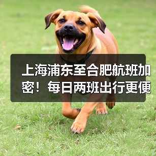 上海浦东至合肥航班加密！每日两班出行更便捷？（图2）