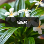 反脆弱(图3) 反脆弱(图3)