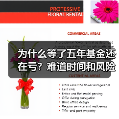 为什么等了五年基金还在亏?难道时间和风险不是朋友吗?(图4) 为什么等了五年基金还在亏?难道时间和风险不是朋友吗?(图4)