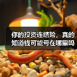你的投资连结险,真的知道钱可能亏在哪里吗?(图4) 你的投资连结险,真的知道钱可能亏在哪里吗?(图4)
