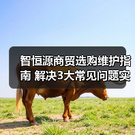 智恒源商贸选购维护指南 解决3大常见问题实用方法(图4) 智恒源商贸选购维护指南 解决3大常见问题实用方法(图4)